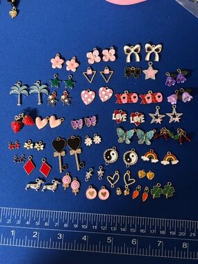 71 Assorted fun Enamel Charms 63 pairs 6 connectors 2 pendants